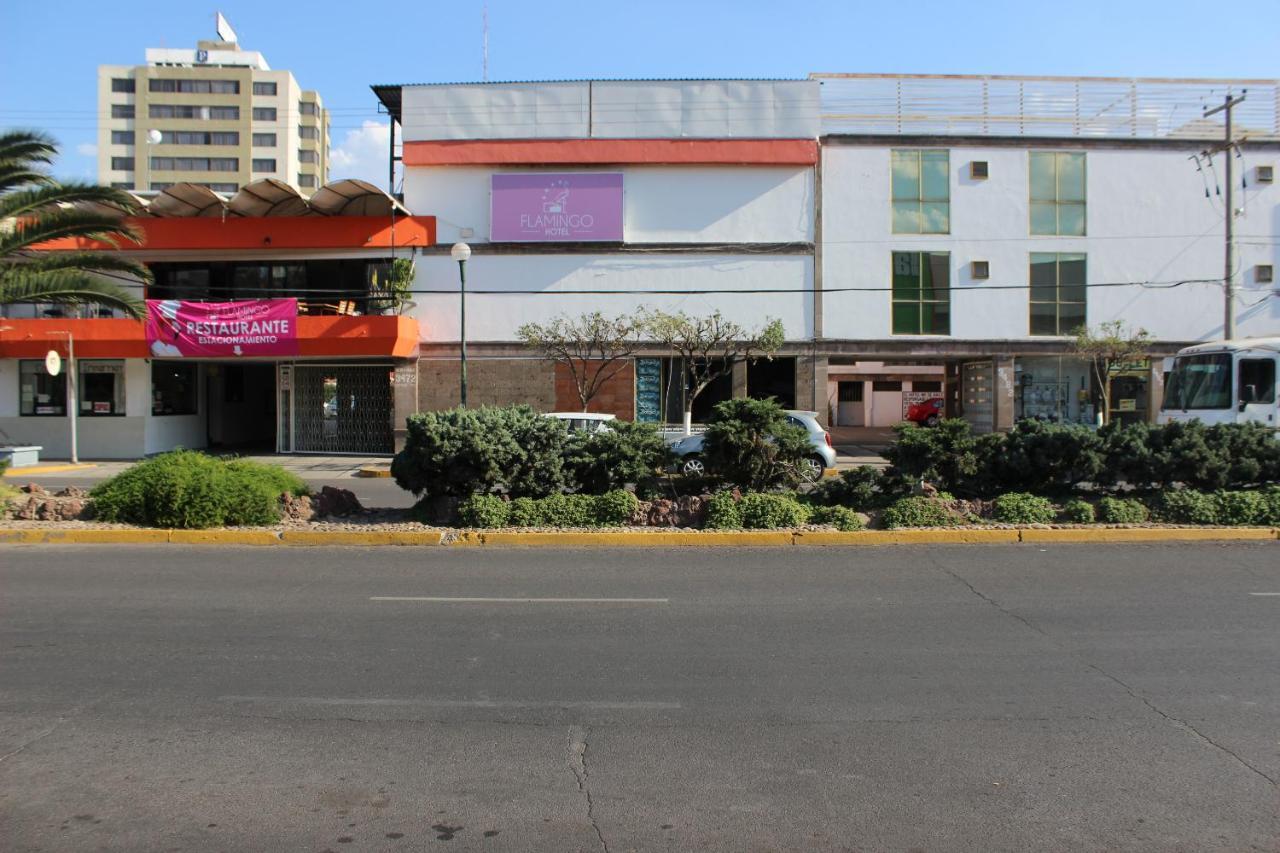Hotel Flamingo 이라푸아토 외부 사진